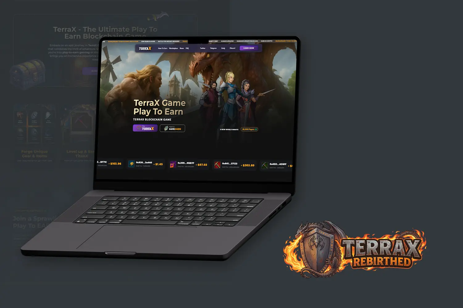 TerraX Website Design
